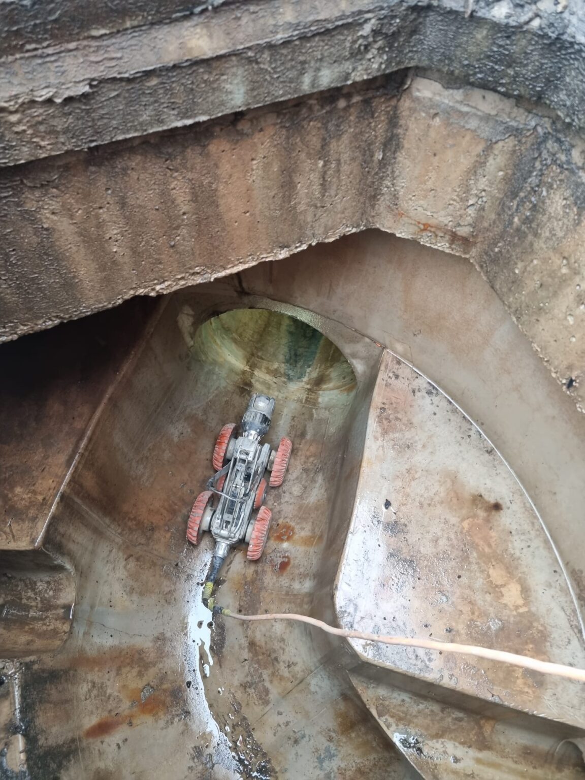 Whatsapp image 2024 11 05 at 10.53.47 42db2e4c